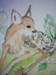 Aquarelle LE FAON 30x20cm [45.00 - 2.90]