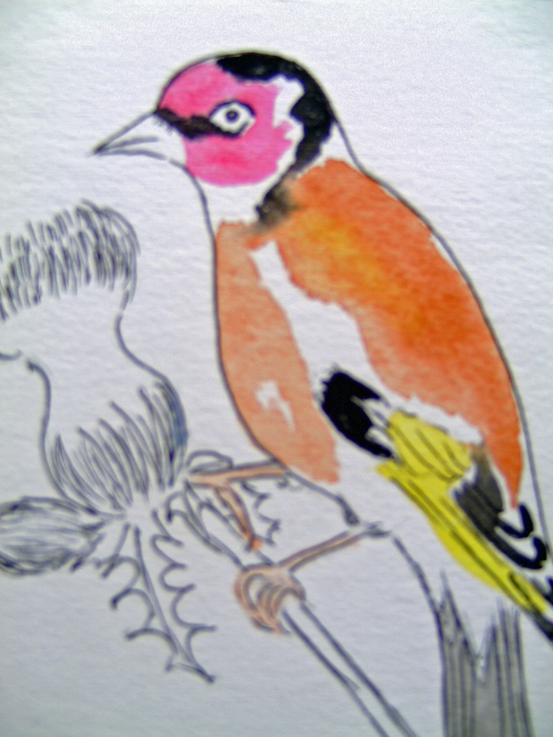 Aquarelle LE CHARDONNET 20x15 [15.50 - 2.90]