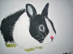 Acrylique RABBIT 20x16 [29.99 - 4.50}