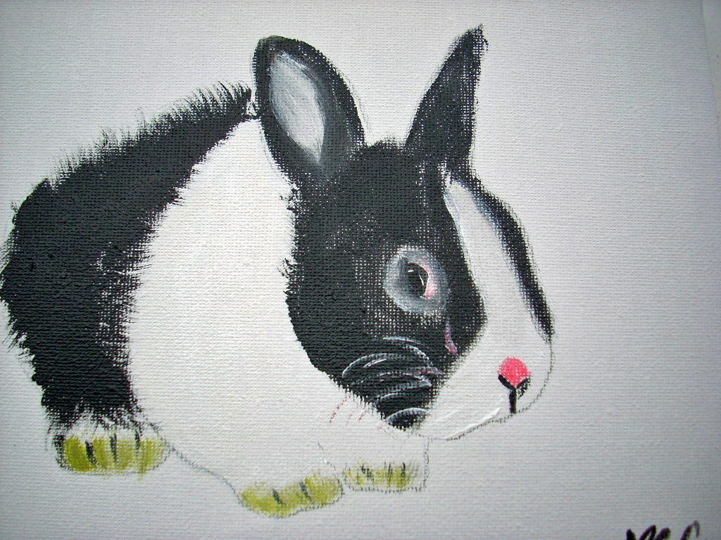 Acrylique RABBIT 20x16 [29.99 - 4.50}