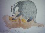 aquarelle BLAIREAU 30x20cm [19.99 - 2.90]