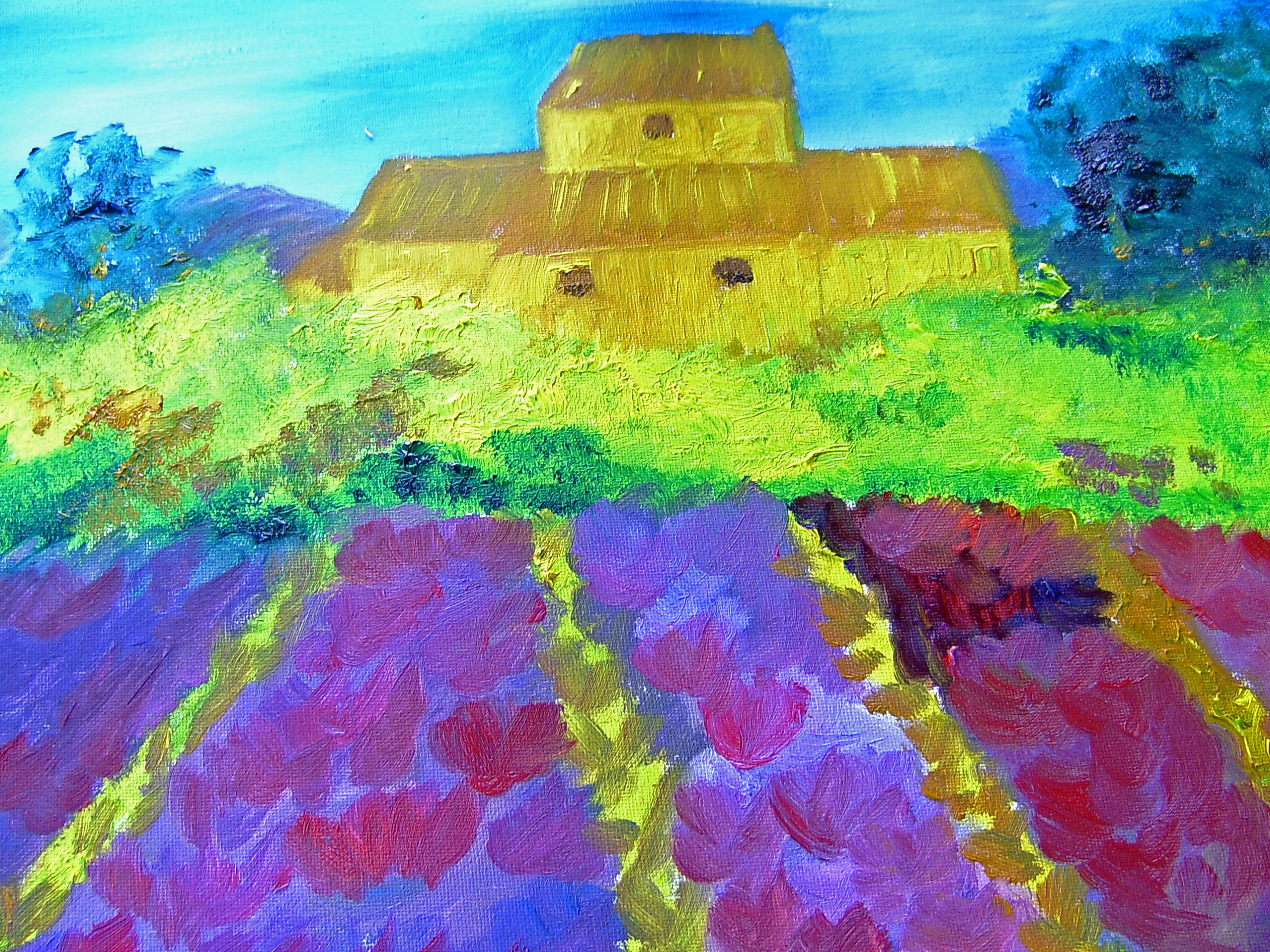 Paysages Paysages