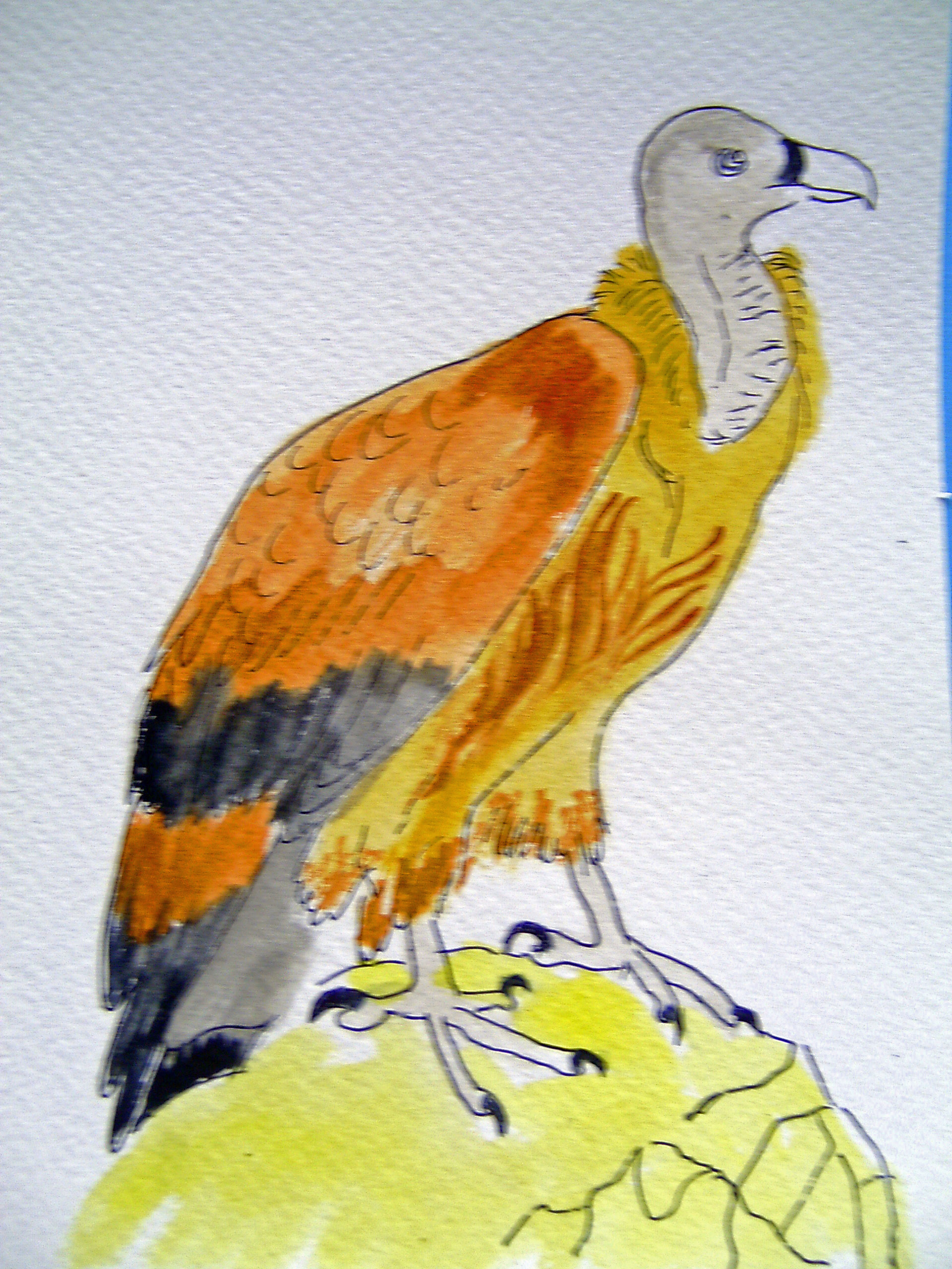 Aquarelle VAUTOUR 20x15  [19.99 - 2.90]