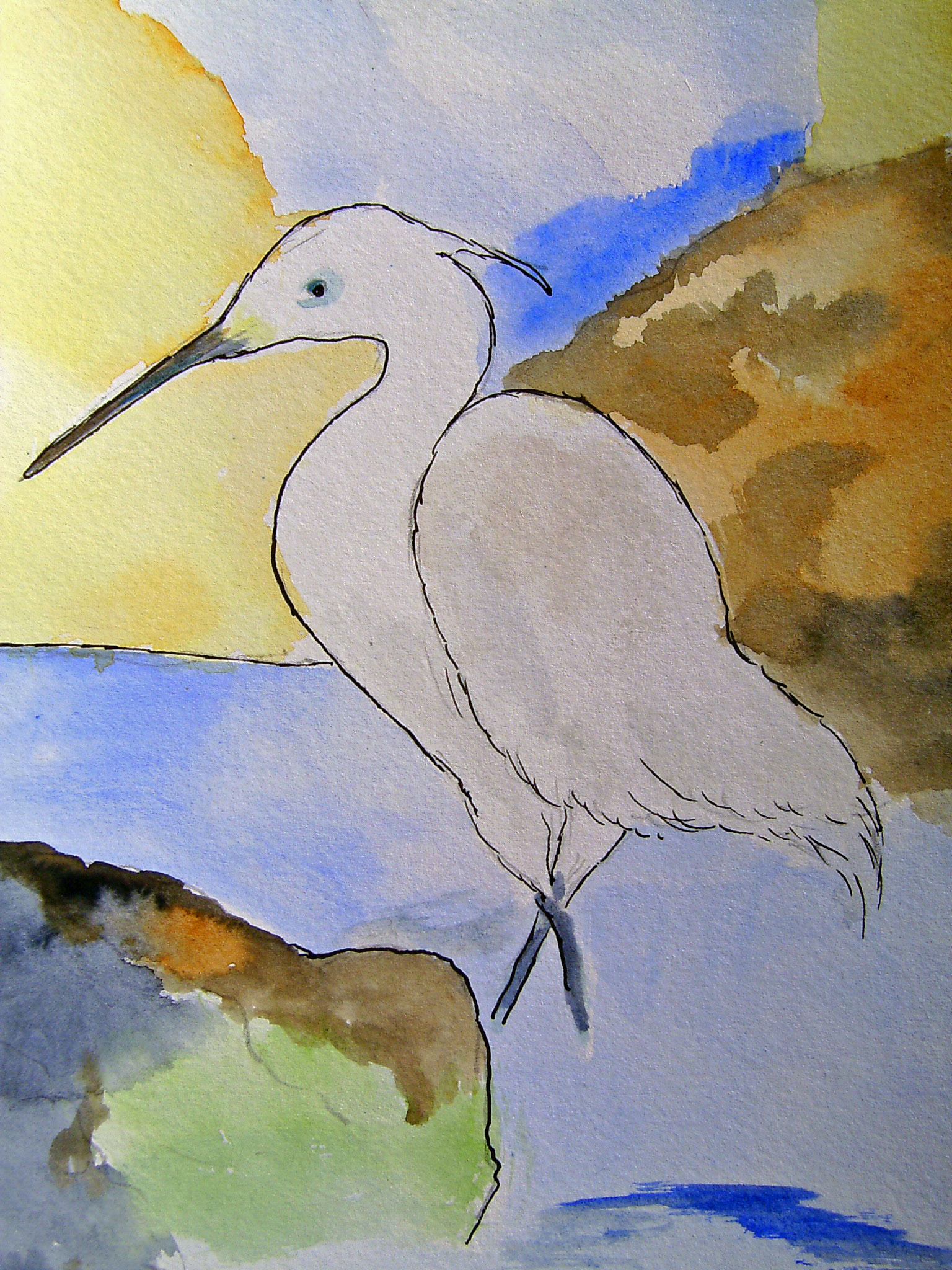 Aquarelle AIGRETTE 20x15 [14.90 - 2.90]