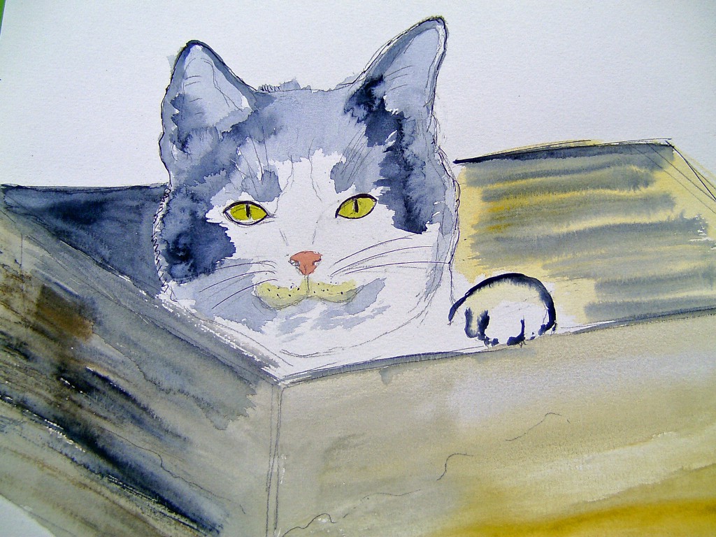 Aquarelle 30x20 cm  CAT IN THE BOX  [18.99 - 2.99]