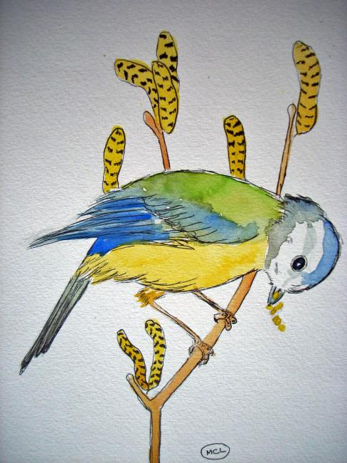 Aquarelle MESANGE 20x15 [19.90 - 2.50]