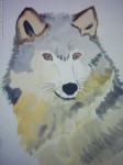 aquarelle WOLF 30x20 cm [49.99 - 2.90]