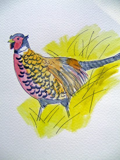 Aquarelle FAISAN 20x15 [19.99 - 2.90]